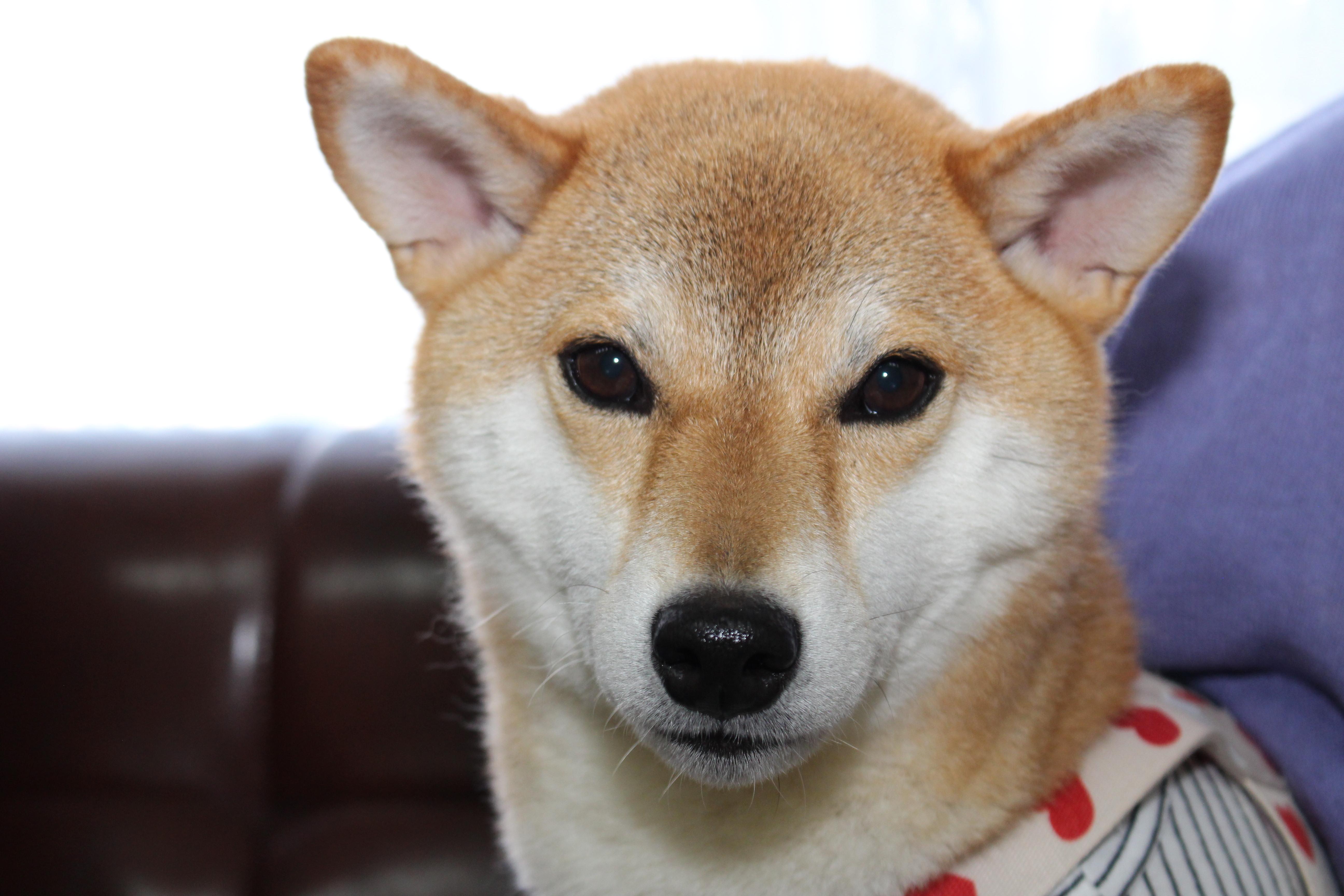 イメージ写真