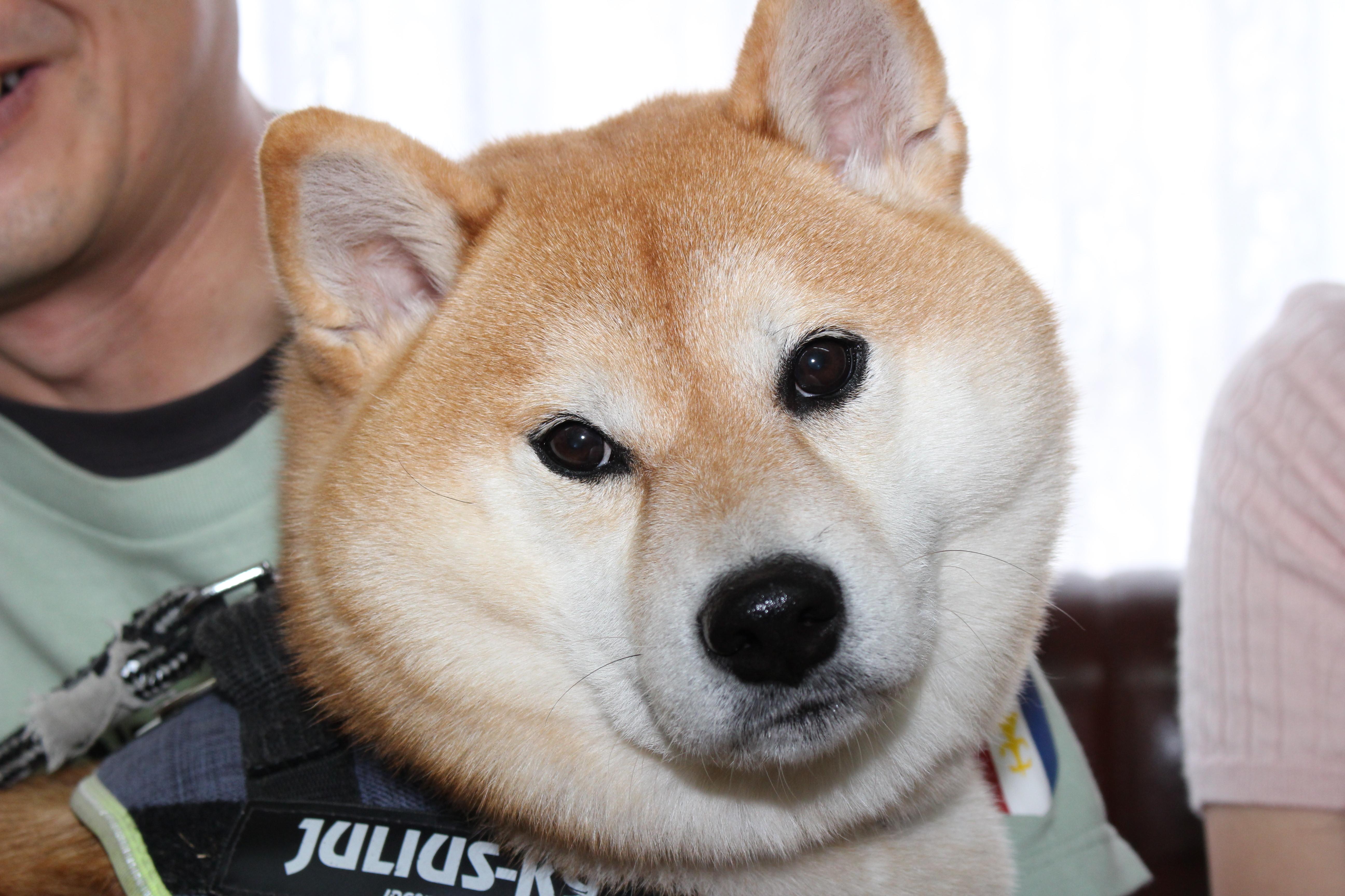 イメージ写真