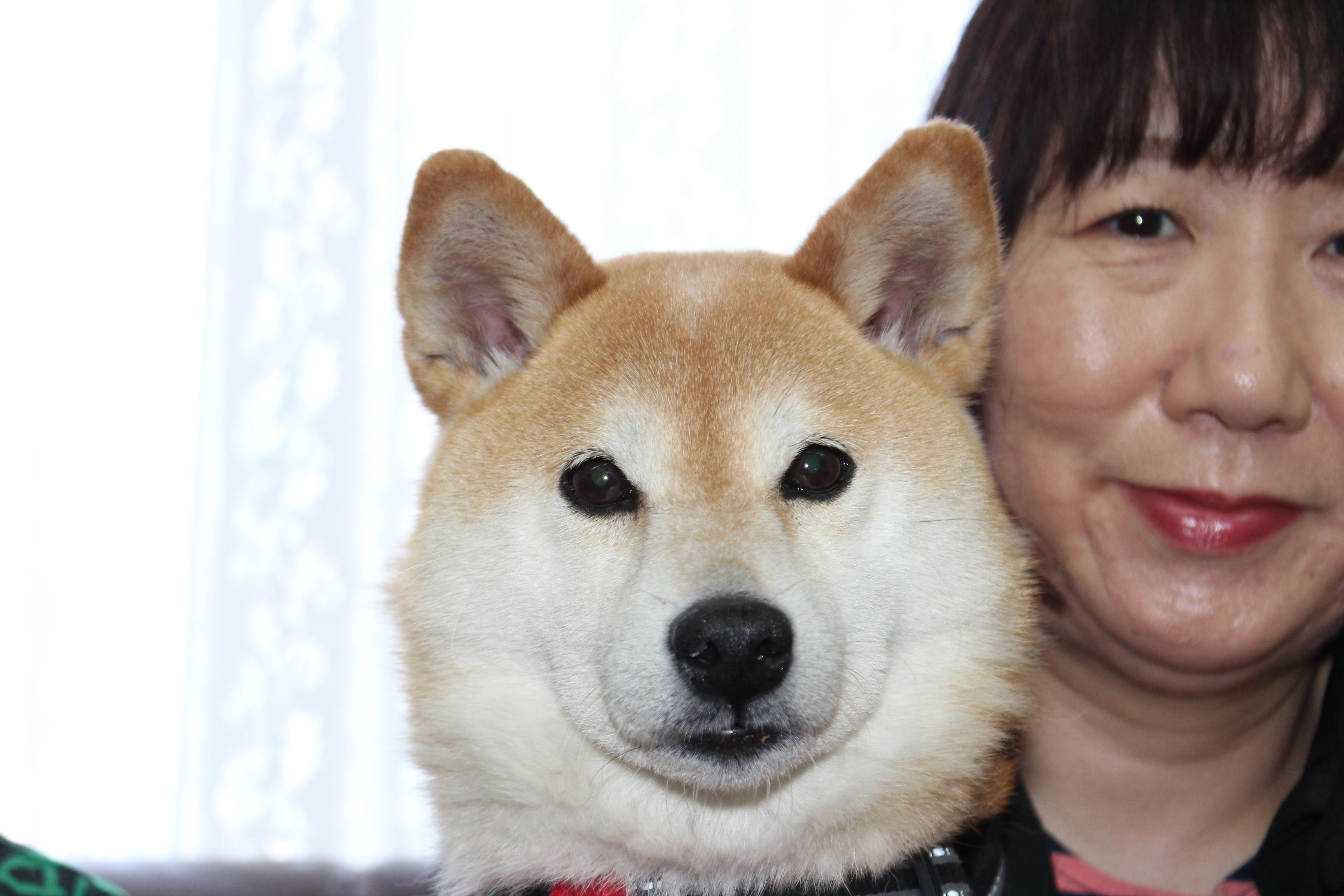 イメージ写真