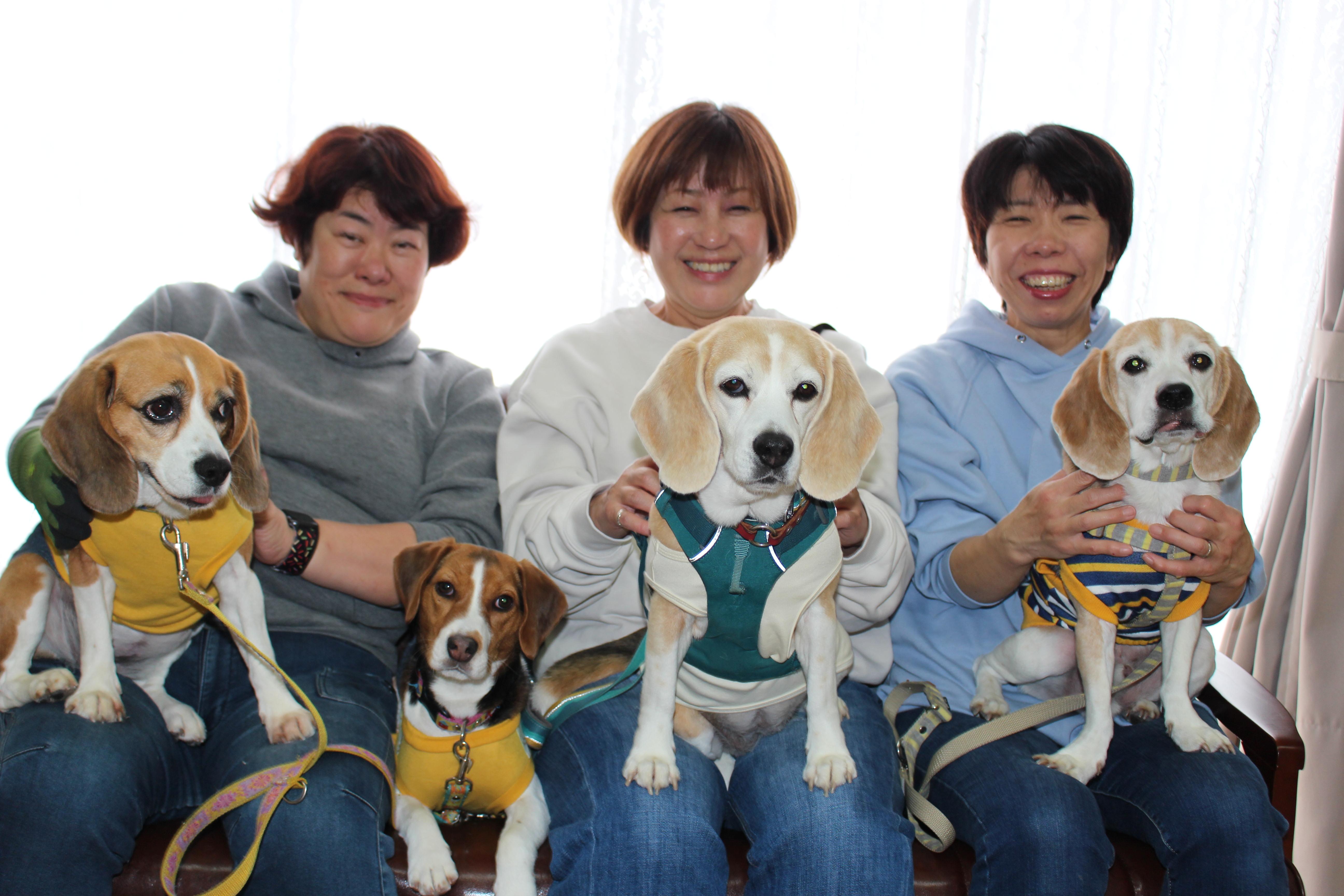 イメージ写真