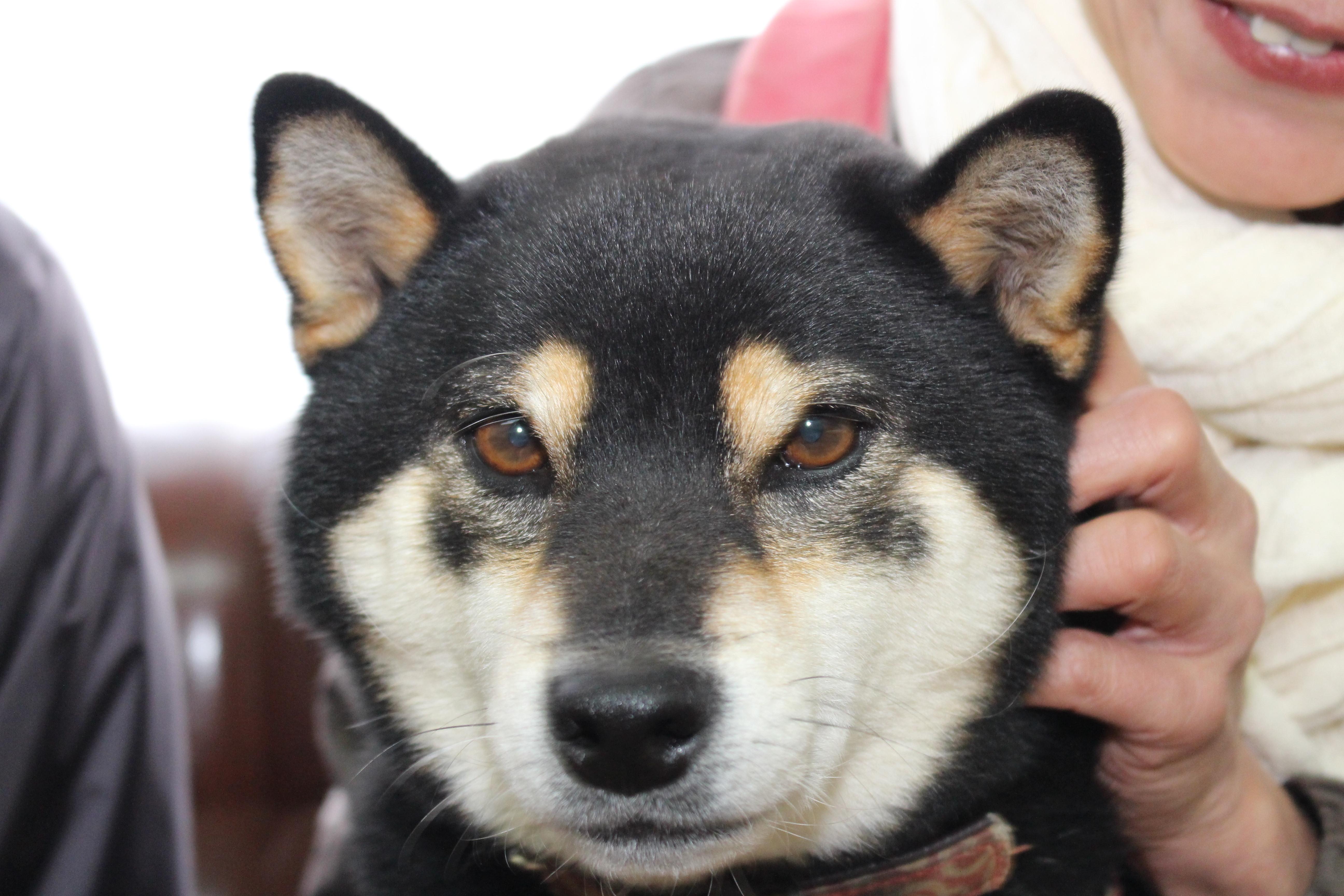イメージ写真