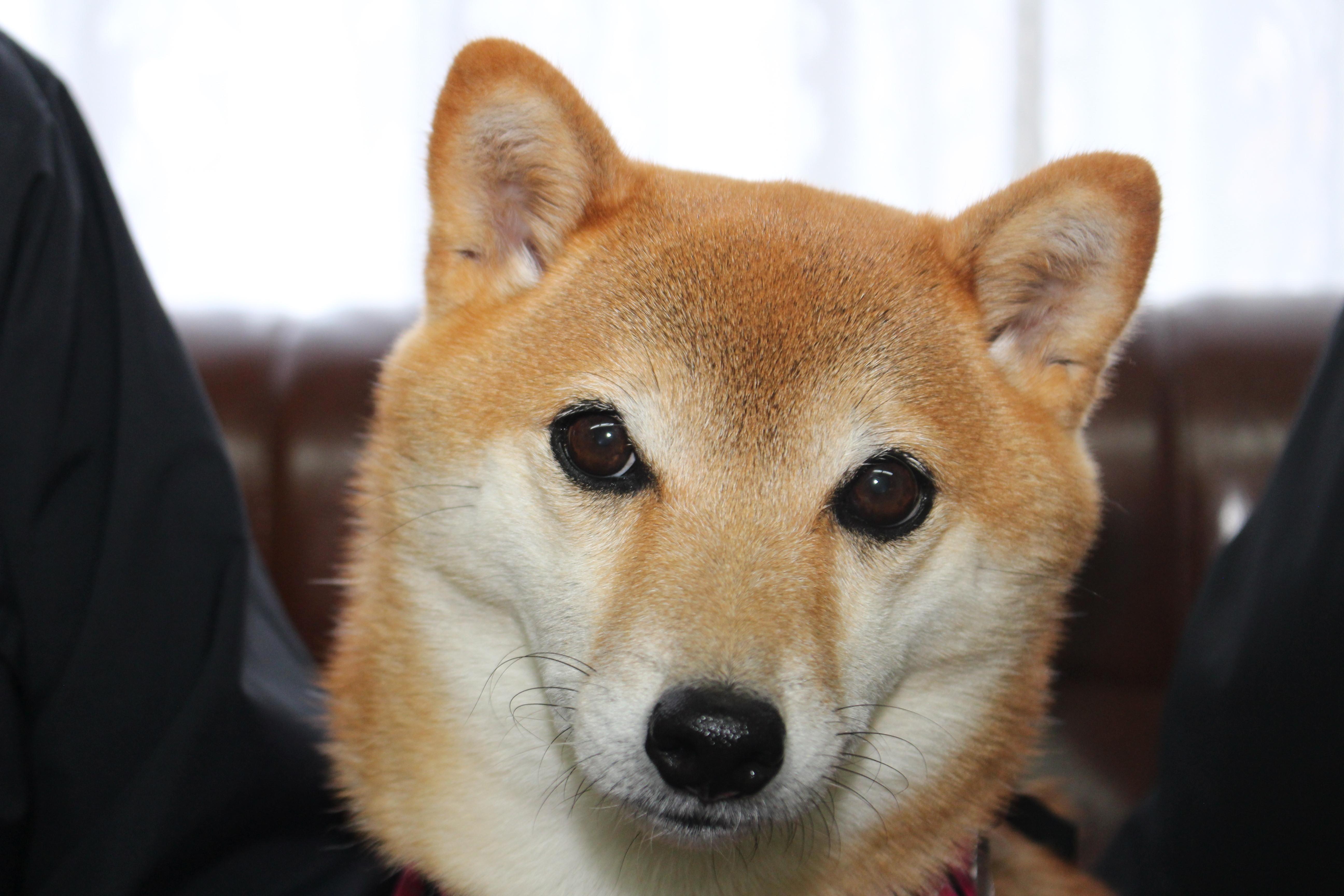 イメージ写真