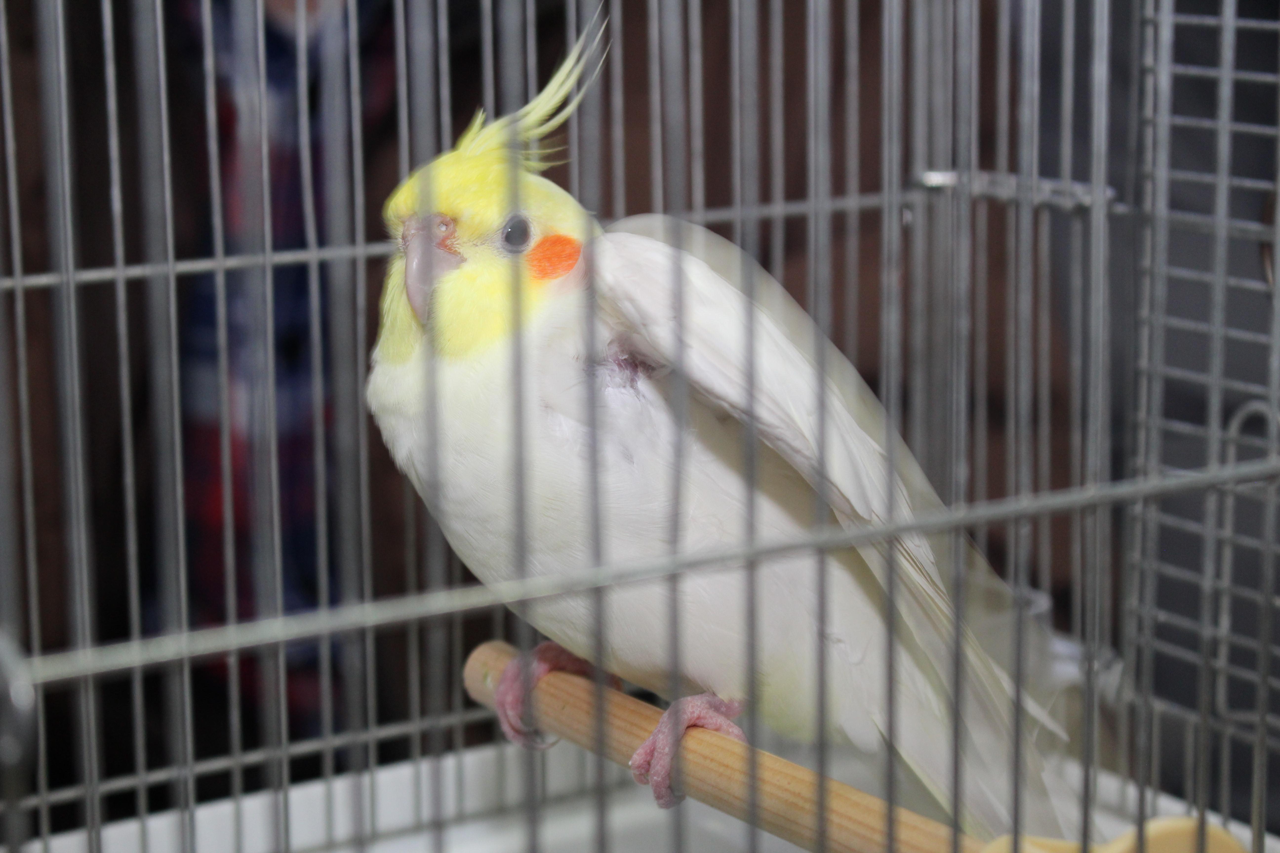 イメージ写真