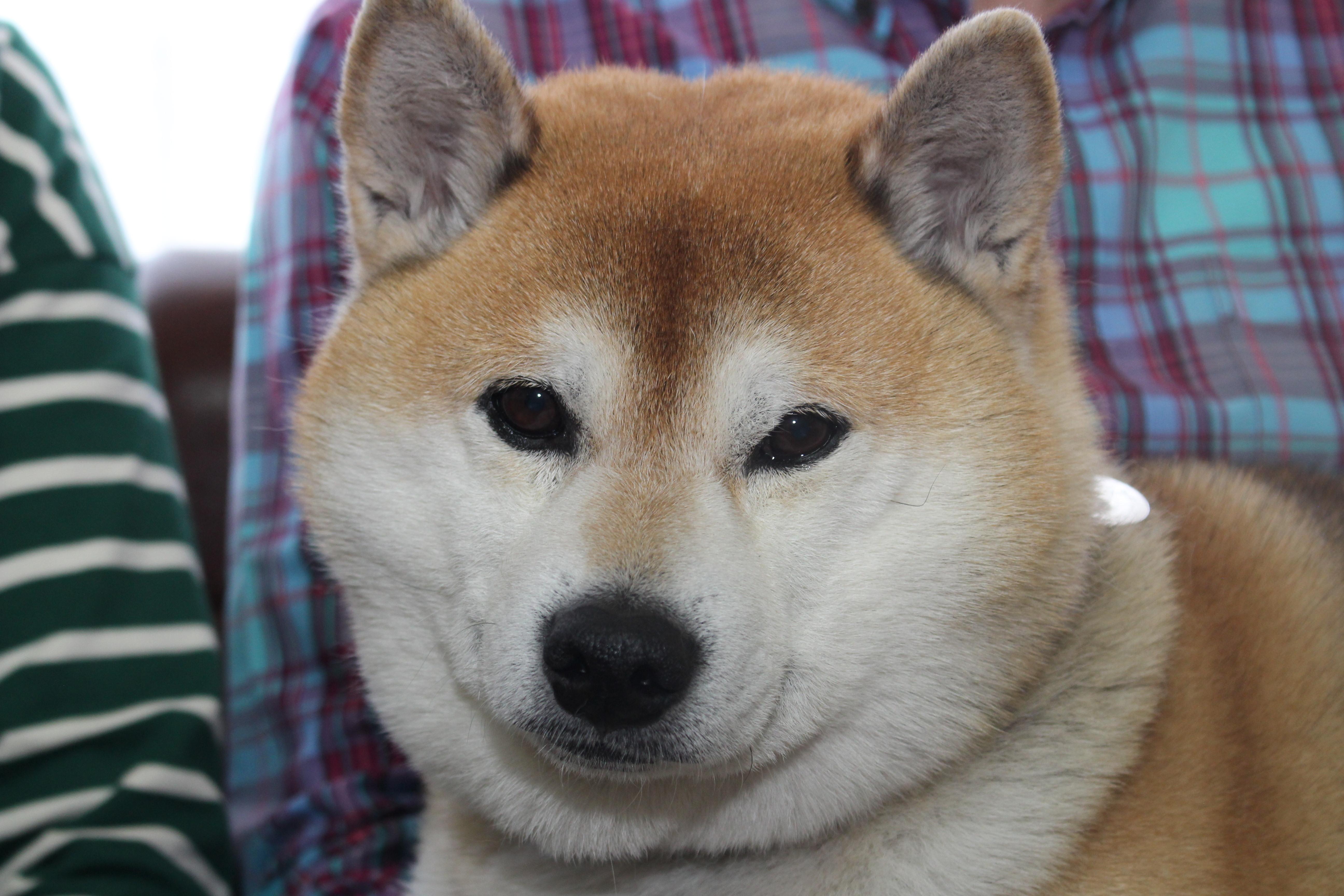 イメージ写真