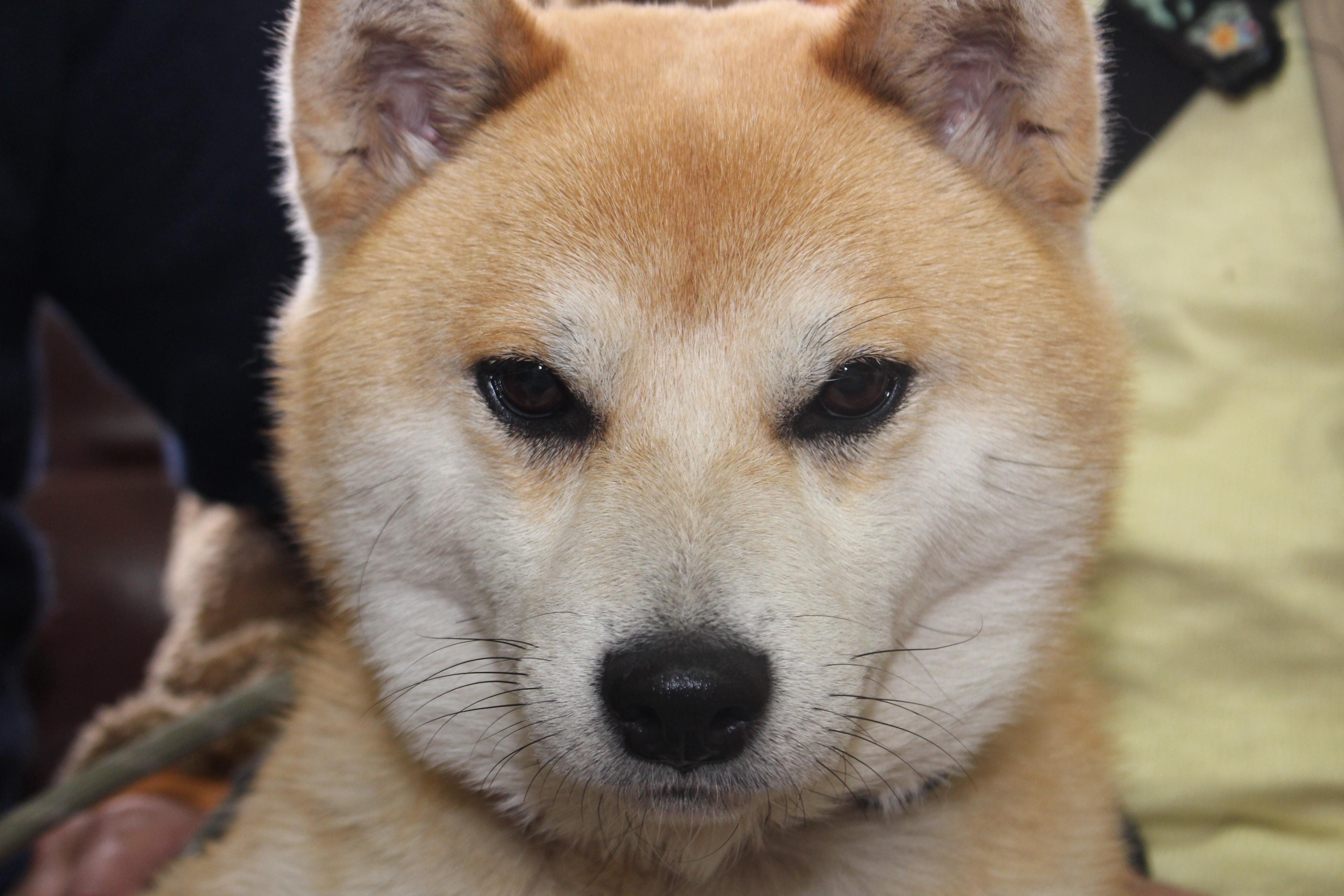 イメージ写真