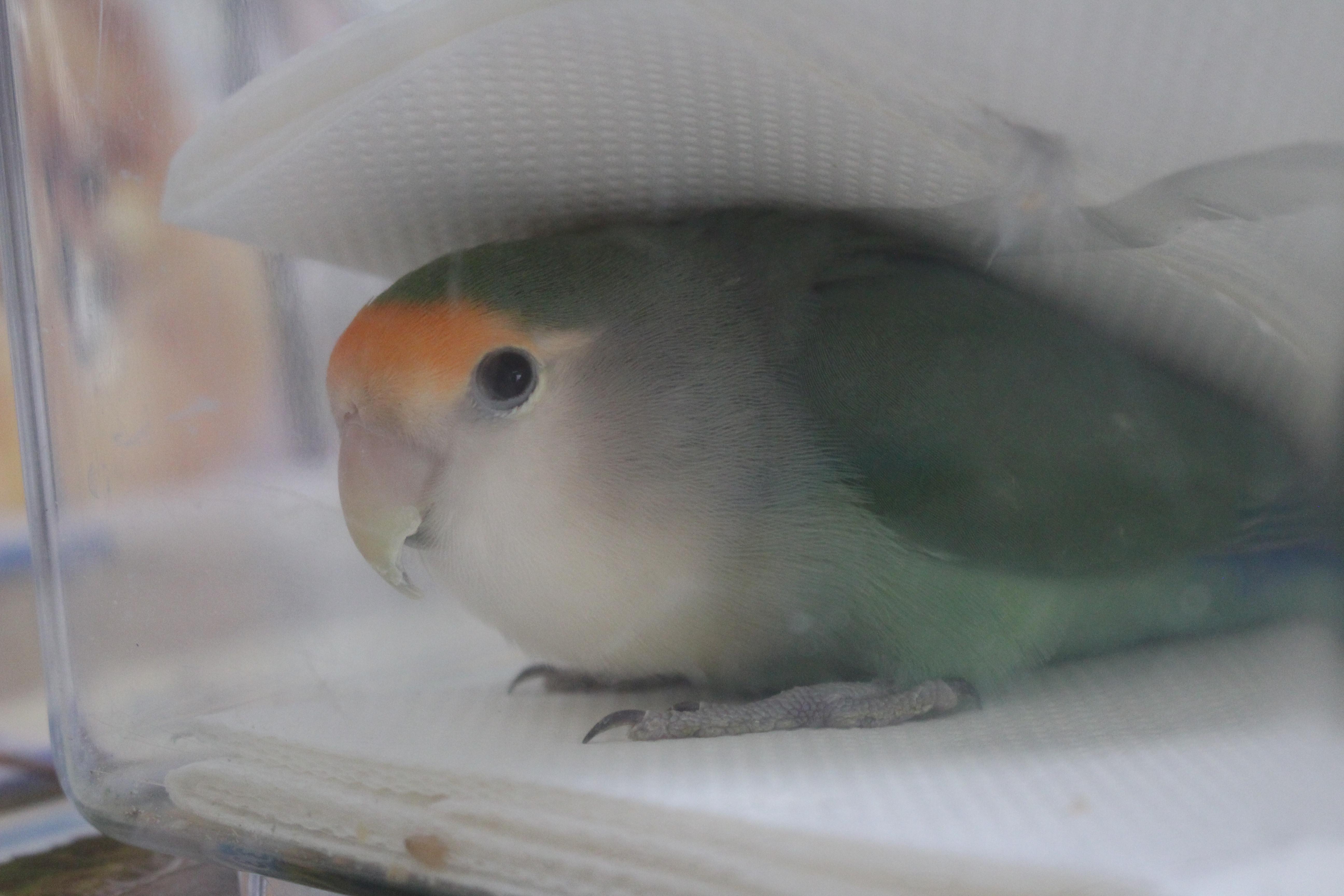イメージ写真