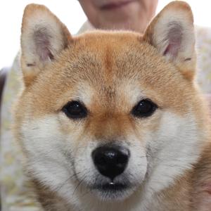 NEWSイメージ
