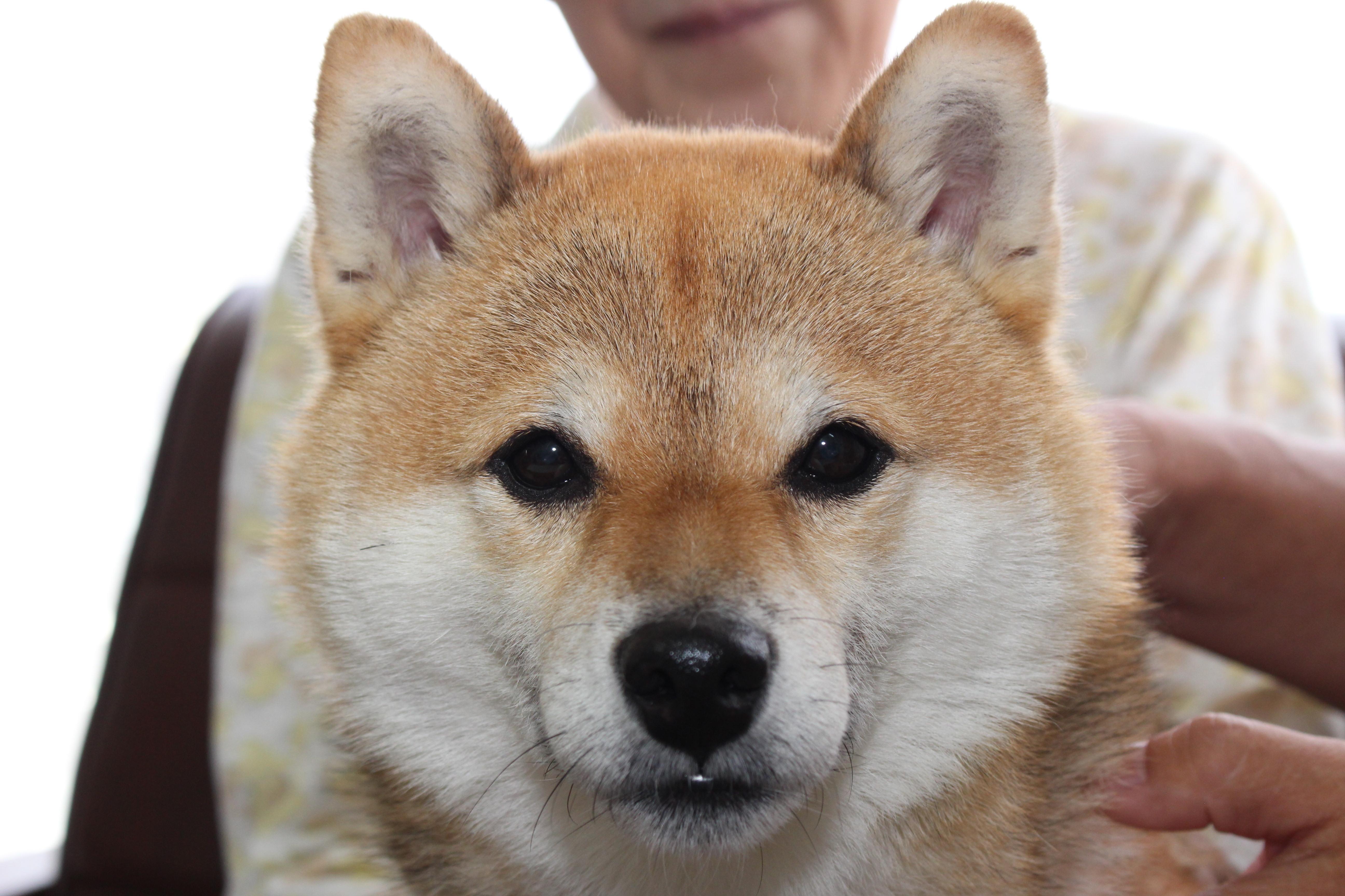イメージ写真