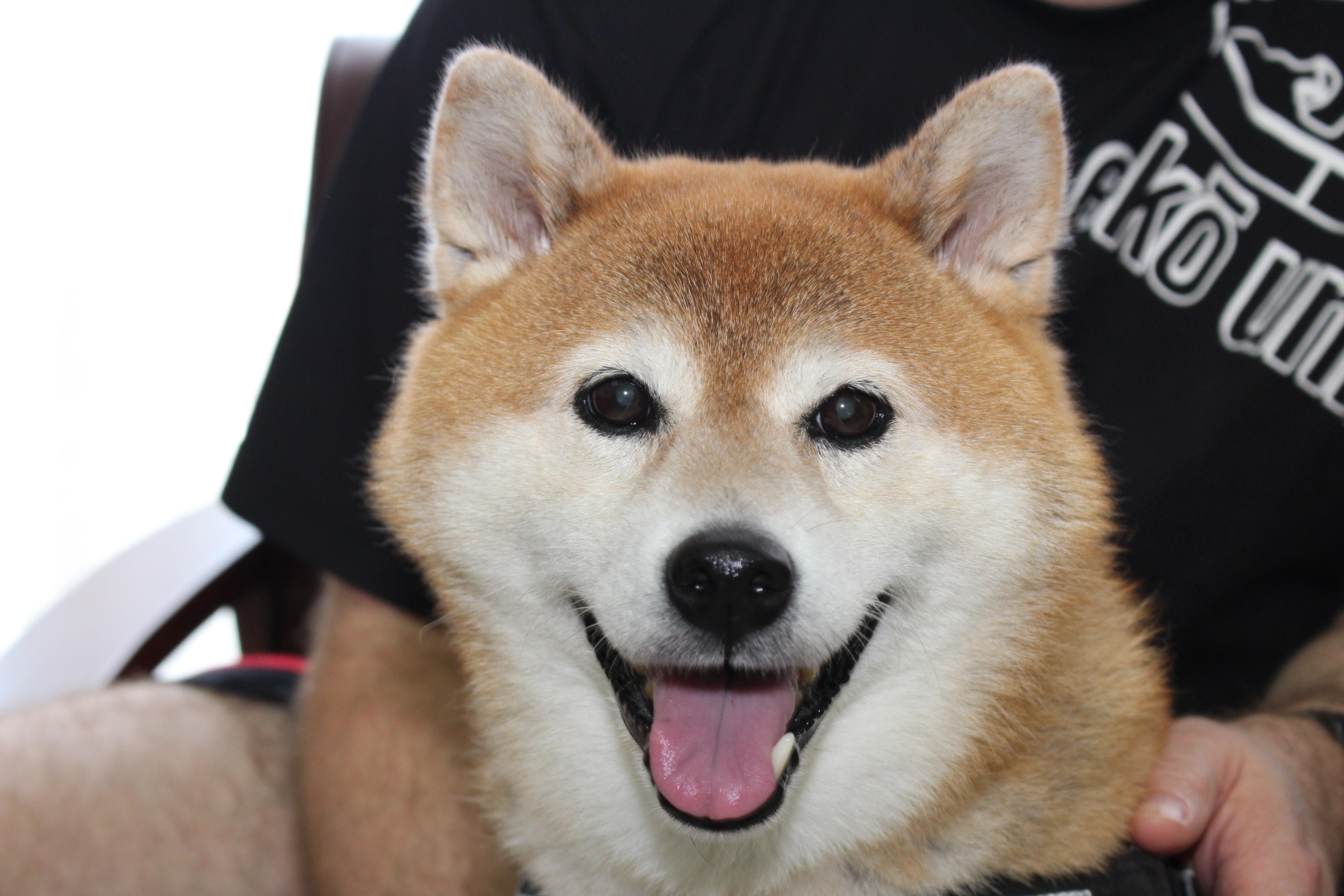 イメージ写真