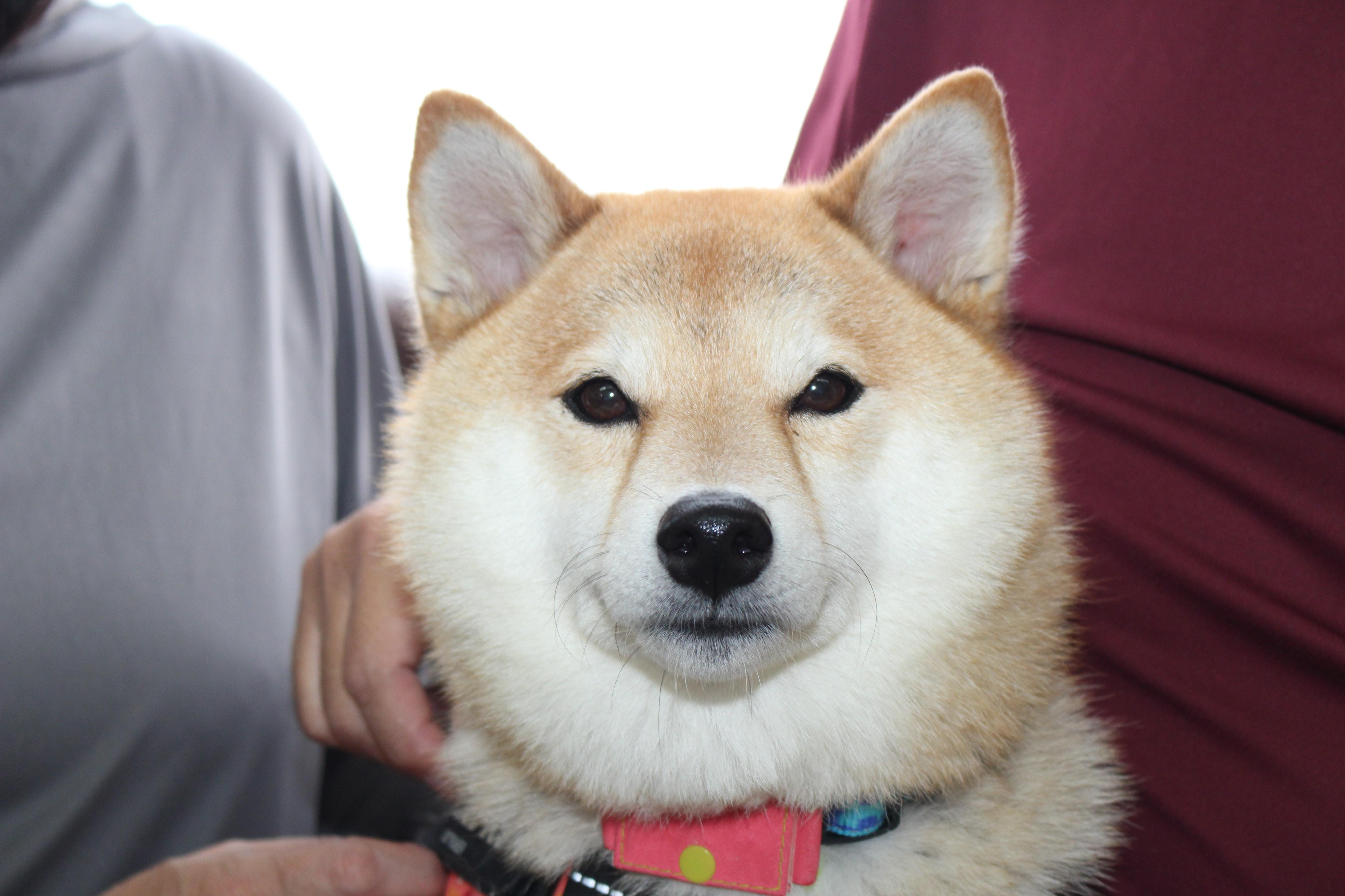 イメージ写真
