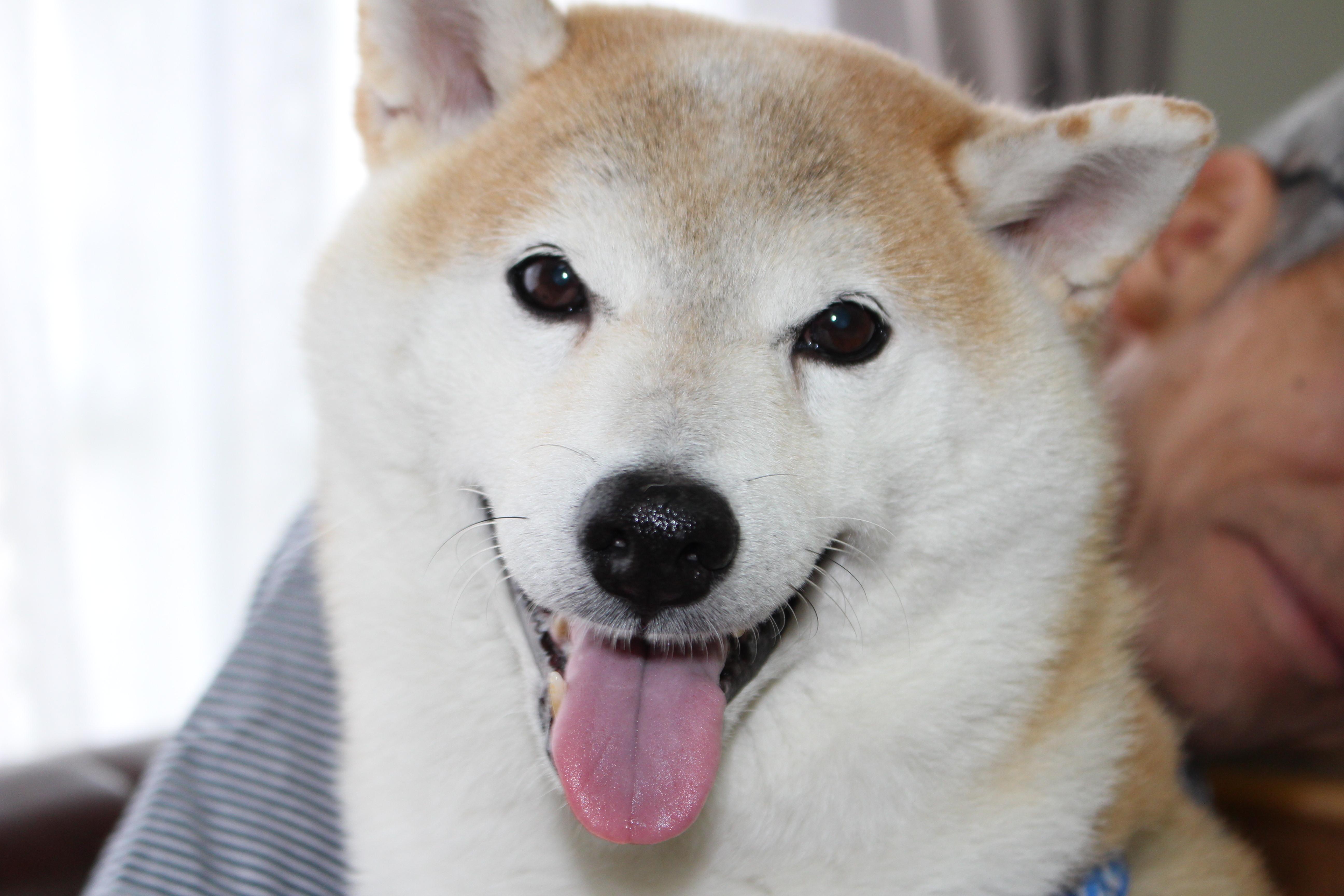 イメージ写真