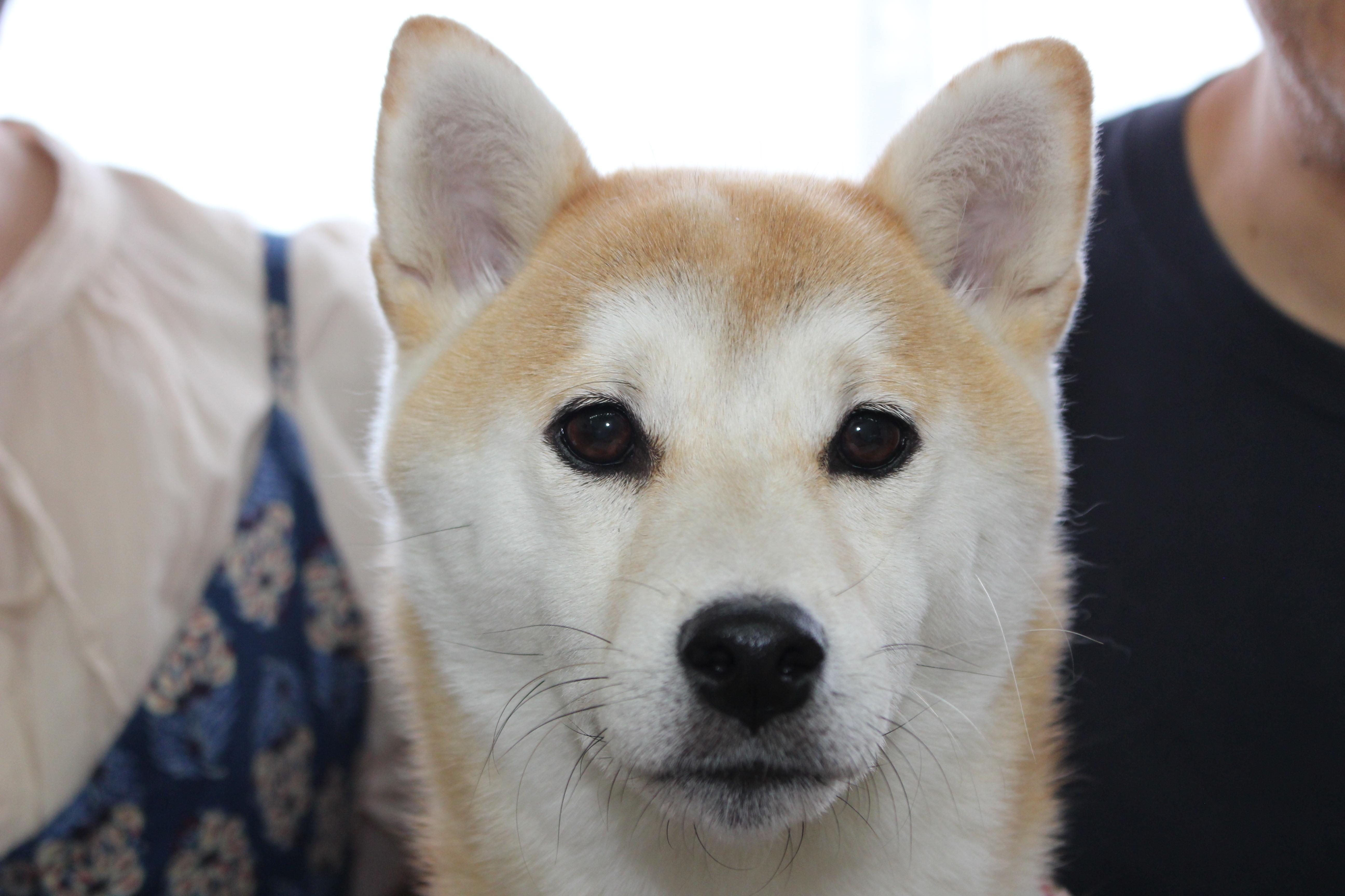 イメージ写真