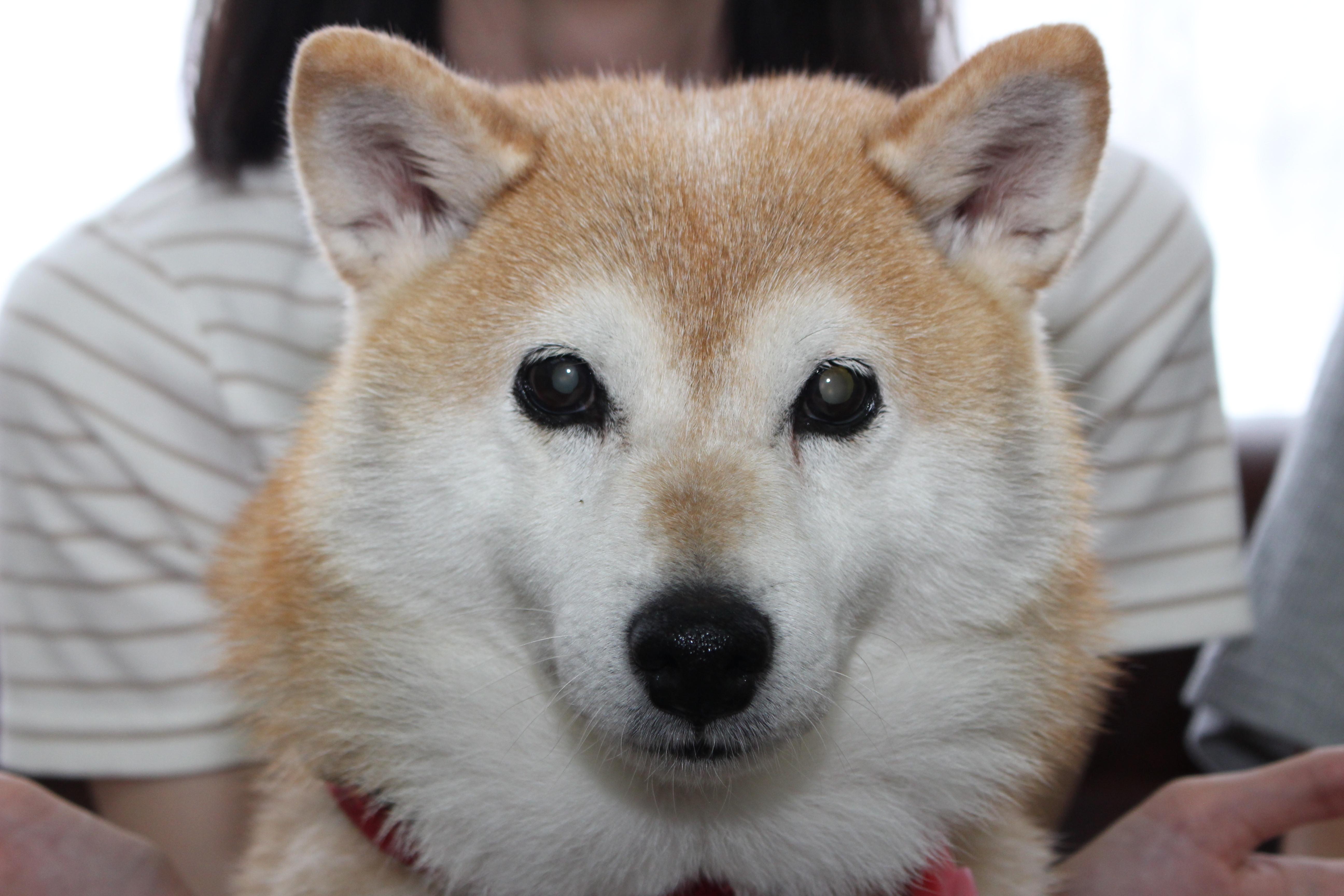 イメージ写真