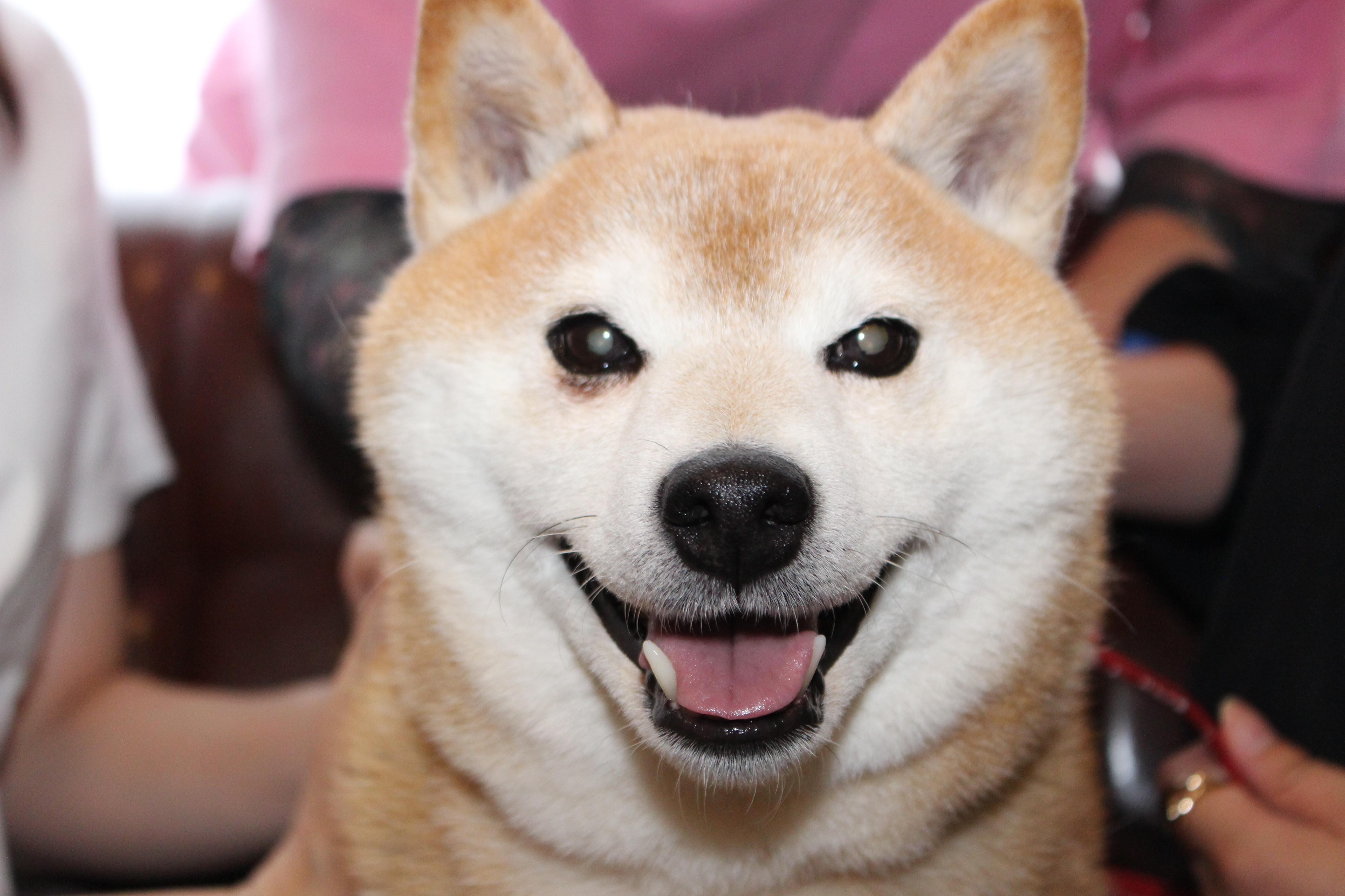 イメージ写真