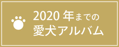 2020年からの愛犬アルバム