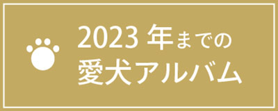 2023年までの愛犬アルバム