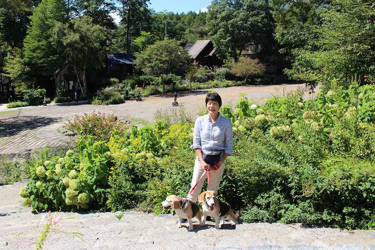 萌木の村1