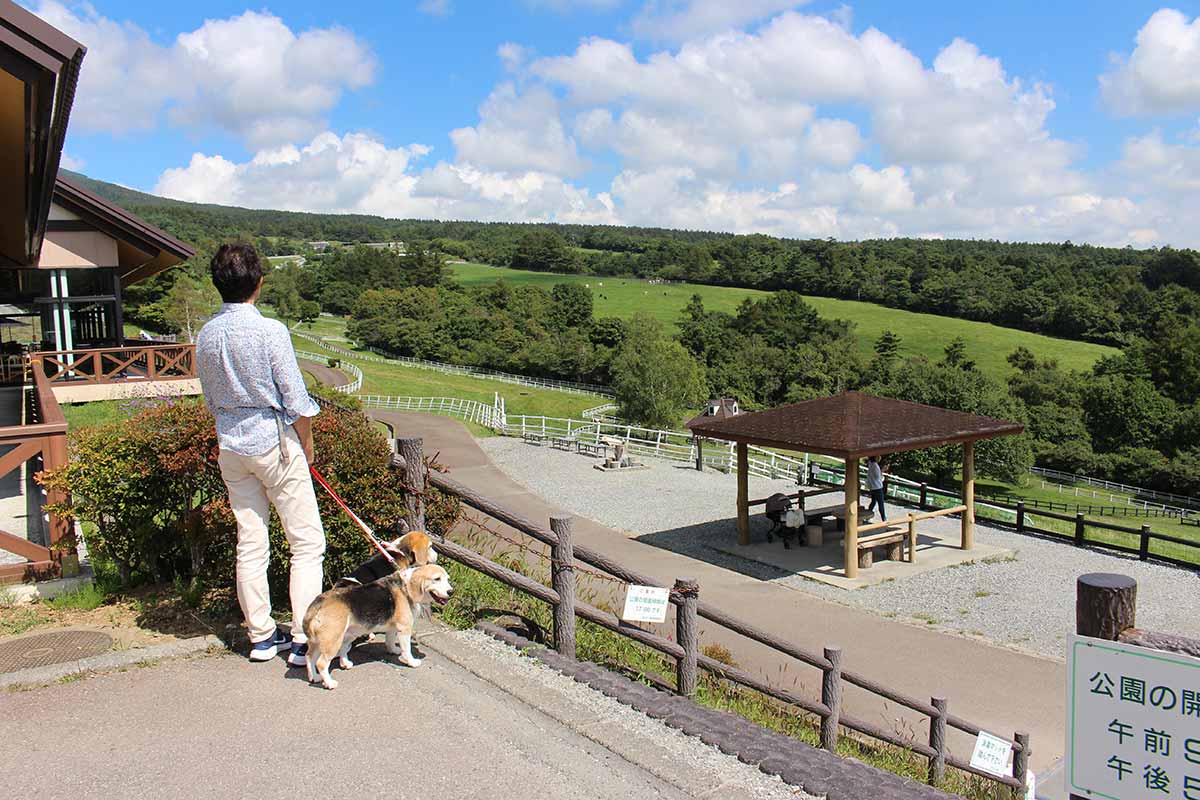 まきば公園1