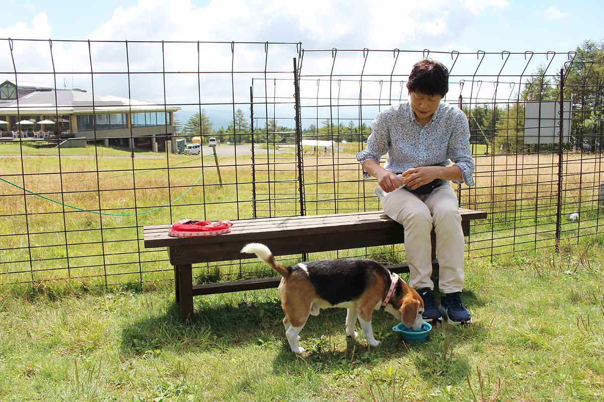 サンメドウズ清里スキー場2